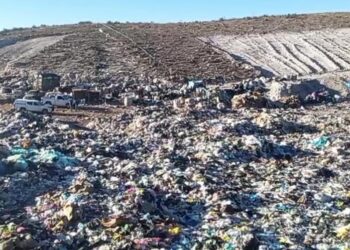 Hallan a bebé sin vida en basurero de Fresnillo