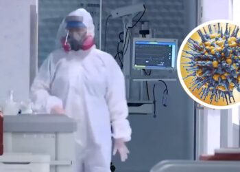 Pirola, la nueva variante de Covid-19 que amenaza a México con una nueva ola de contagios