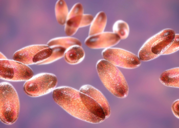 Detectan primer caso de peste bubónica en humano desde 2015 en Oregón, EU