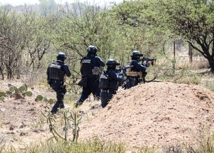 Rescatan a cinco mujeres y dos hombres secuestrados en Jerez