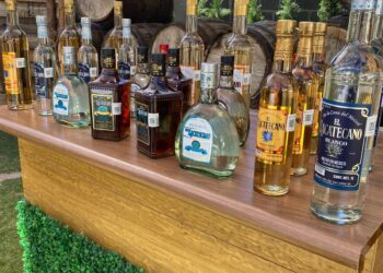 Participan  más de 80 etiquetas en el Festival del Vino y el Mezcal zacatecanos