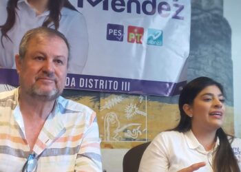 Fany Méndez tiene el perfil adecuado para legislar: Castañeda