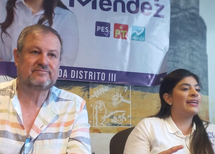 Fany Méndez tiene el perfil adecuado para legislar: Castañeda