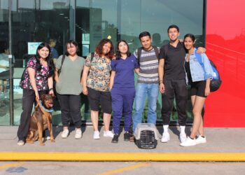 Alta especialidad y servicio a la comunidad, en el Hospital Veterinario de Pequeñas Especies UAZ