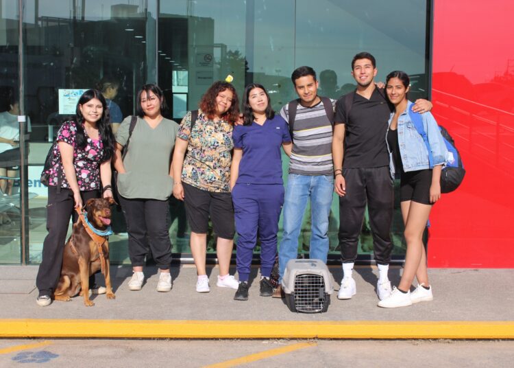 Alta especialidad y servicio a la comunidad, en el Hospital Veterinario de Pequeñas Especies UAZ