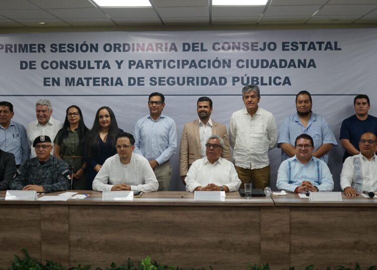 Consejo estatal ciudadano prepara programas de seguridad pública