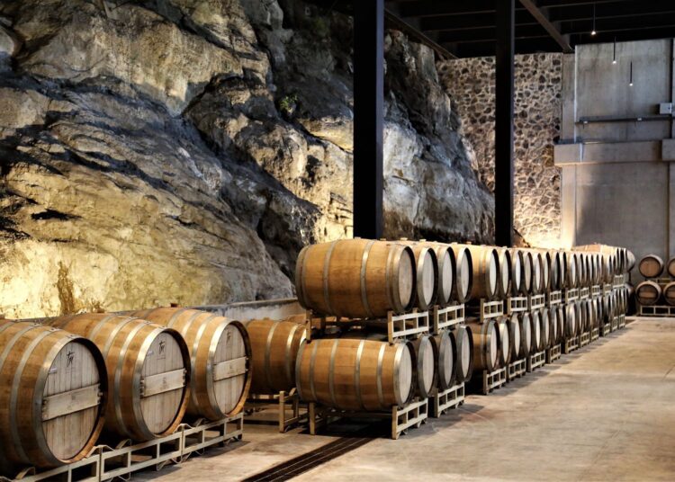 Espectacular Semana del Vino 2024 en Guanajuato y Concurso Mundial de Bruselas