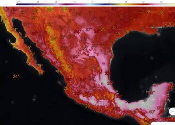 Sistema eléctrico entra estado de emergencia por 48 minutos debido a la ola de calor