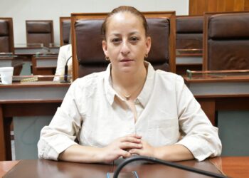 Si el PAN no se renueva y reflexiona, está condenado a desaparecer: Mar Ibargüengoitia