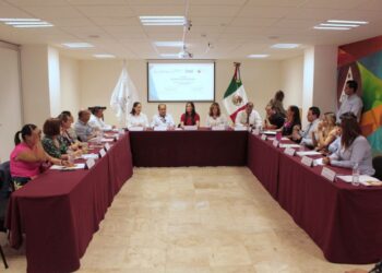 Facilitan a discapacitados, respeto a derechos humanos, acceso a información y recreación cultural