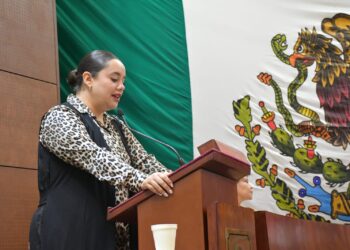 Demanda diputada a la CFE solucione falta de energía eléctrica en Pánuco