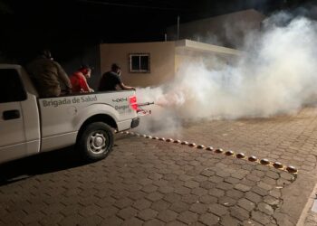 SSZ registra el primer caso de Dengue autóctono en Mezquital del Oro