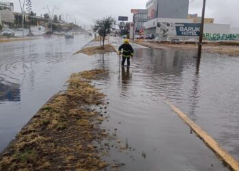 Exhorta Noemí Luna al gobierno, apoyar con recursos del Fonden a Zacatecas