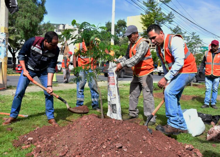 Se mantienen acciones de rescate de espacios públicos y limpieza ambiental