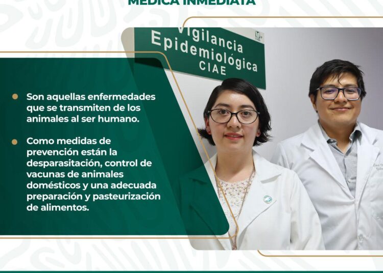 IMSS advierte riesgos por zoonosis, infección que causa diversas enfermedades