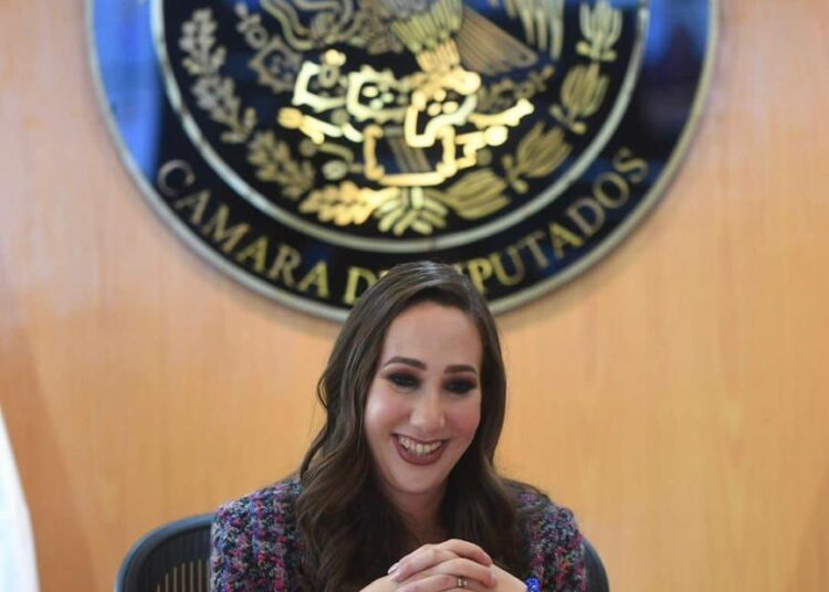La zacatecana Noemí Luna, será la coordinadora de la fracción parlamentaria de AN en San Lázaro