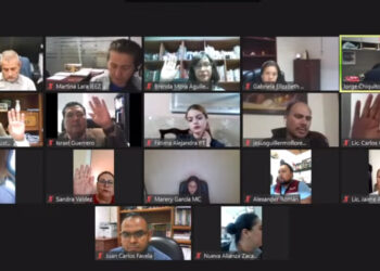 Aprueba IEEZ formato para la captación de firmas para la revocación de mandato del gobernador