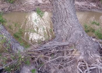 Muestran fotografías del daño ecológico en Pinos, de empresa extractora de arena y grava