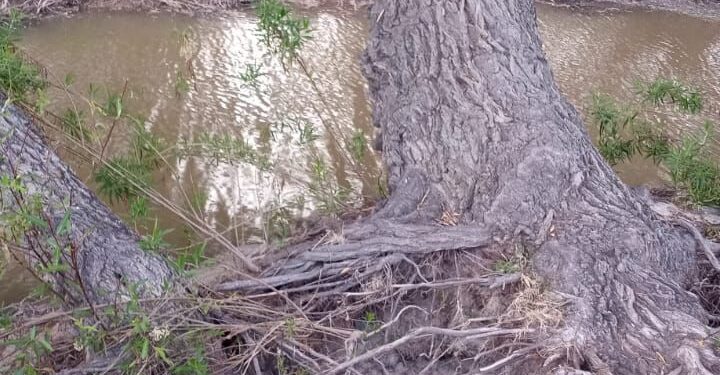 Muestran fotografías del daño ecológico en Pinos, de empresa extractora de arena y grava