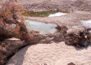 Muestran fotografías del daño ecológico en Pinos, de empresa extractora de arena y grava