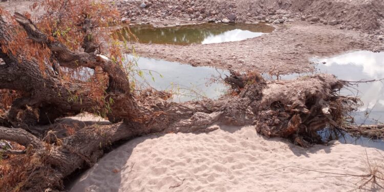 Muestran fotografías del daño ecológico en Pinos, de empresa extractora de arena y grava