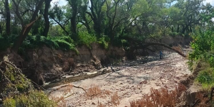 El daño a la ecología en las comunidades de la comunidad San Martín en Pinos, Zacatecas.
