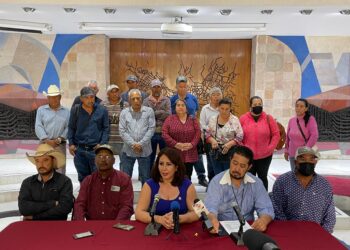 Empresa extrae  arena y grava en Pinos y daña durante 15 años, árboles y especies endémicas