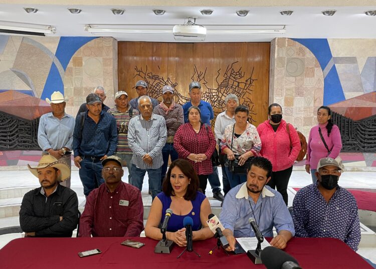 Empresa extrae arena y grava en Pinos y daña durante 15 años, árboles y especies endémicas