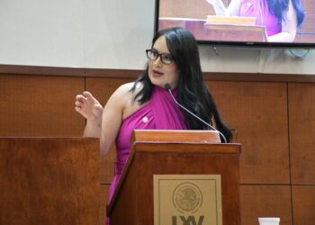 Propone diputada reconocer el derecho de la mujer al aborto en Zacatecas