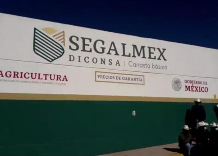 Anuncia Segalmex 27 pesos por kilo de frijol en el ciclo Primavera-Verano