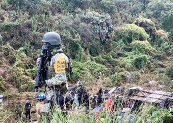 Trágico accidente carretero en Zacatecas deja al menos 19 muertos y varios heridos