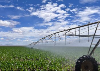 Abre SADER ventanilla para apoyo de energía eléctrica para productores agrícolas de riego