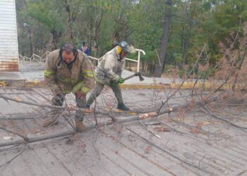 Apagones, derrumbes de árboles, ramas y estructuras, provoca el temporal en Zacatecas