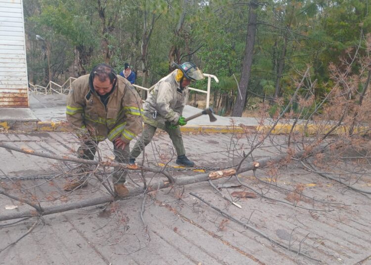 Apagones, derrumbes de árboles, ramas y estructuras, provoca el temporal en Zacatecas