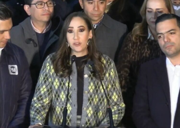 Concluye Noemí Luna periodo de coordinadora del PAN en el Congreso federal