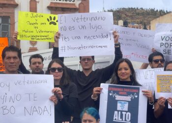 Médicos veterinarios denuncian agresiones de clientes de mascotas en Zacatecas