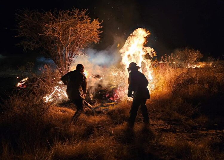Zacatecas registran 14 incendios en el presente año; la mayoría son intencionales