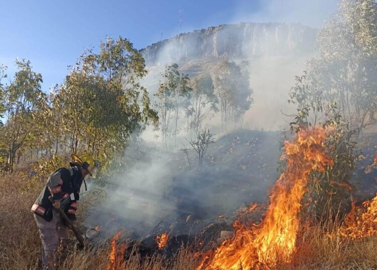 En menos de 3 meses se han generado 136 incendios en Zacatecas: Protección Civil