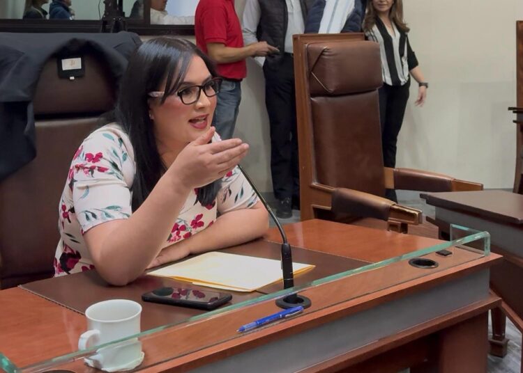 En discusión de Ley aborto, hacen el vacío en la sesión de la LXV legislatura