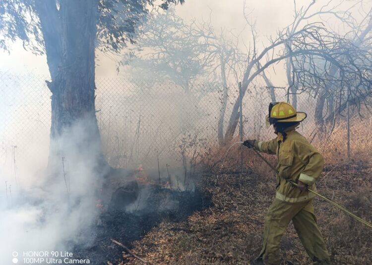 Incendio en Cerro San Ramón de Guadalupe; se trabaja en su control