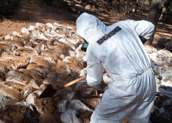 Descubren megalaboratorio de droga sintéticas en Zacatecas; es el hallazgo más grande en México