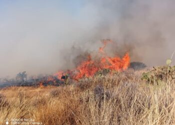 Incendio en Cerro de las Antenas, pone en riesgo colonias aledañas en Zacatecas