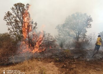 Incendio en Moyahua genera incertidumbre; ya es combatido para controlarlo