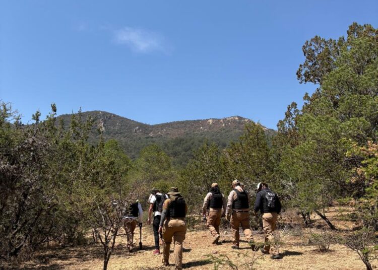 Encuentran restos humanos en la comunidad Jagüey en Villanueva