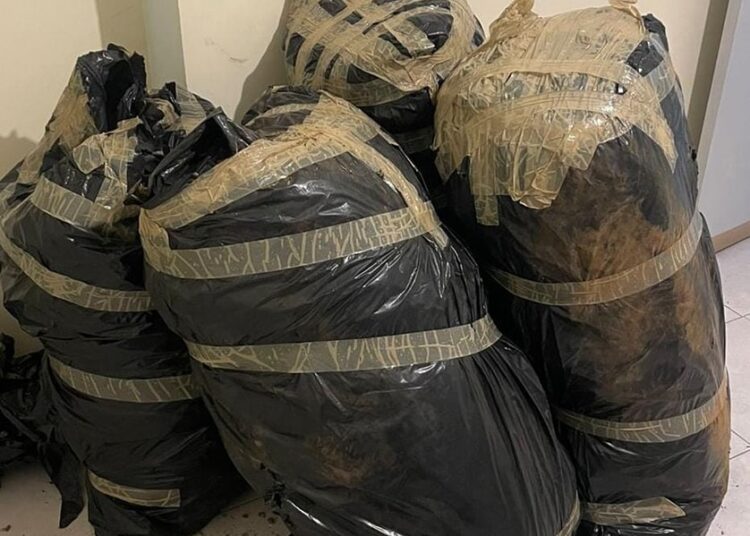 Decomisan 7 costales de droga en la colonia Geranios en Guadalupe