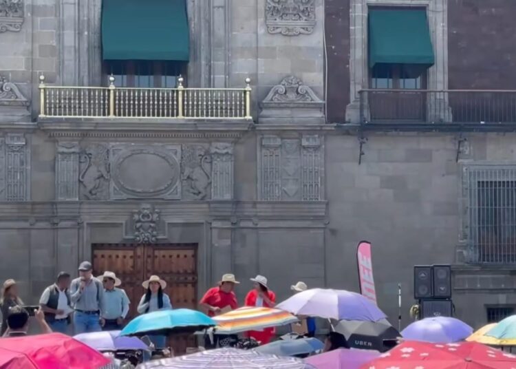 Maestros de la 34 del SNTE abandonan plantón en el Zócalo; “la lucha no termina”