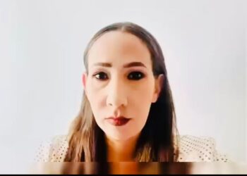 Ante presiones de censura, el PAN defenderá la libertad de expresión: Noemí Luna