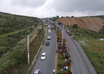 Sector privado y gobierno, reforestan coordinadamente vialidad Vetagrande