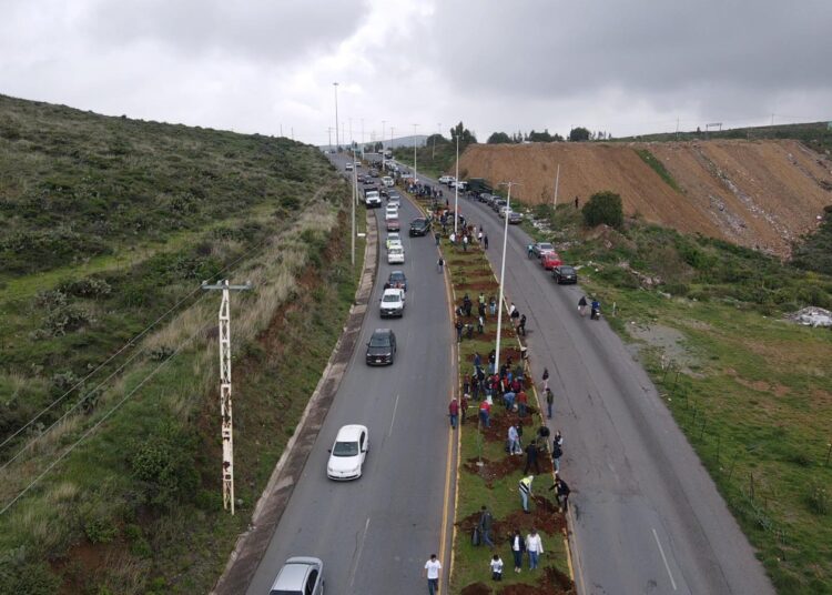 Sector privado y gobierno, reforestan coordinadamente vialidad Vetagrande