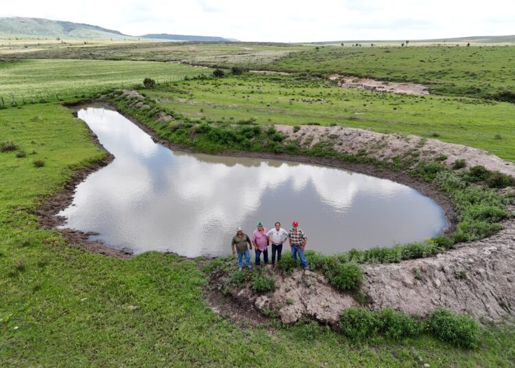Los bordos en Viboritas servirán de abrevadero a 500 cabezas de ganado